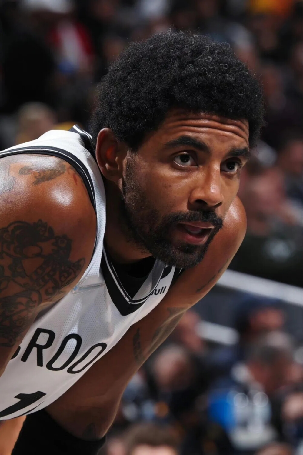 三分质量与 三分质量与